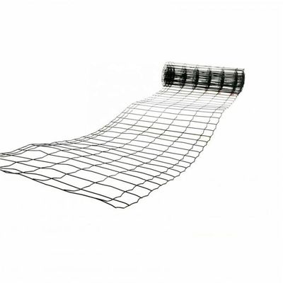 6 مقاس حديقة حديقة حديقة حديقة حديقة حديقة حديقة حديقة