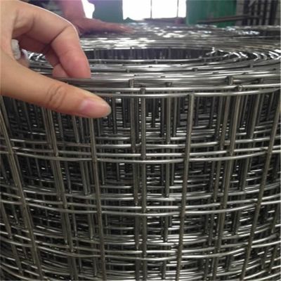 مقاومة للصدأ الغلفاني 50 * 50 ملم حديدية شبكة الأسلاك السياج 1/4 بوصة حفرة مربع الصلب شبكة حديدية من قبل الشركة المصنعة الأسعار بالجملة