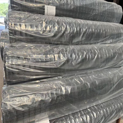 سعر المصنع جودة عالية 50x50mm الأخضر PVC المغلفة هولندا ملحومة سلكية شبكة سياج لوحات لسياج اليورو