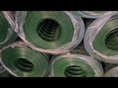 شبكة سلكية ملحومة PVC